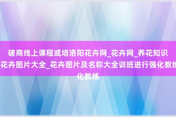 磋商线上课程或培洛阳花卉网_花卉网_养花知识_花卉图片大全_花卉图片及名称大全训班进行强化教练