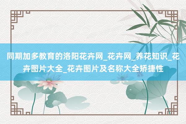 同期加多教育的洛阳花卉网_花卉网_养花知识_花卉图片大全_花卉图片及名称大全矫捷性